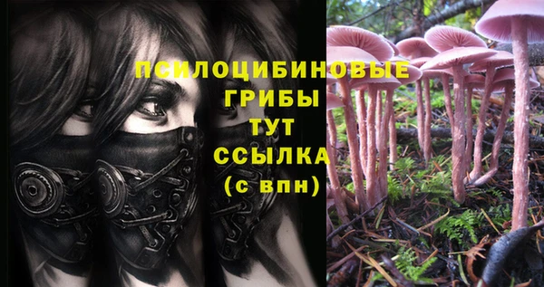 стафф Алзамай