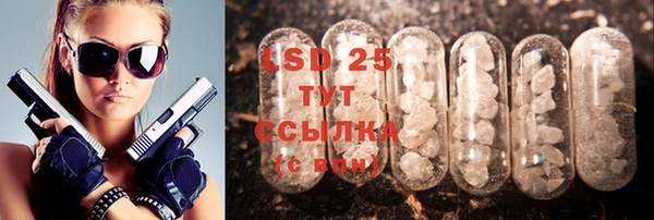 стафф Алзамай