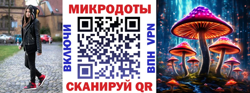 Псилоцибиновые грибы Cubensis Красково