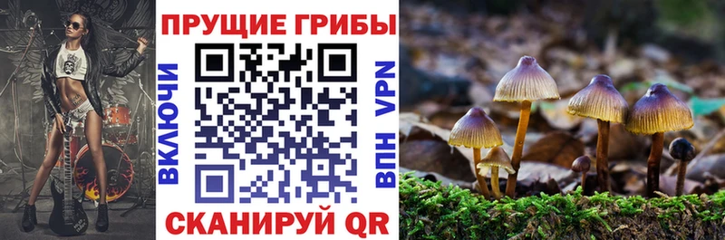 Псилоцибиновые грибы Cubensis  Красково 